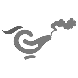 RTS-Ruby Cotton Non-Padded Regular Bra (Minimum Order 5 Pcs Pack)